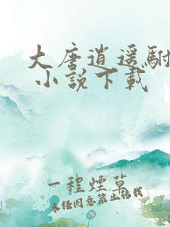 大唐逍遥驸马爷 小说下载