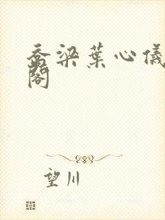 乔梁叶心仪笔趣阁