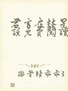 君玄夜林星瑶小说免费阅读