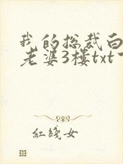 我的总裁白富美老婆3楼txt下载