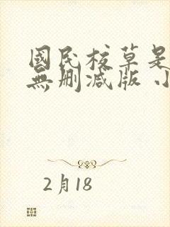 国民校草是女生无删减版 小说