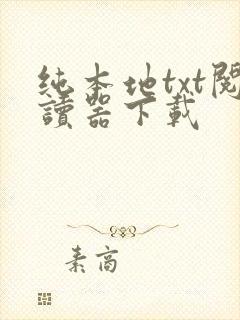 纯本地txt阅读器下载