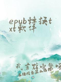epub转换txt软件