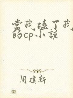 当我磕了我对家的cp小说