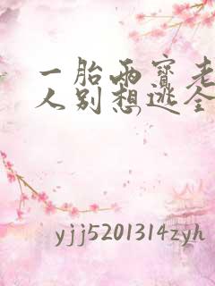 一胎两宝老婆大人别想逃全文免费