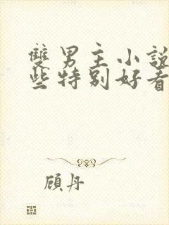 双男主小说有哪些特别好看的