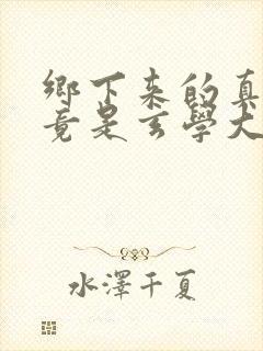 乡下来的真千金竟是玄学大佬