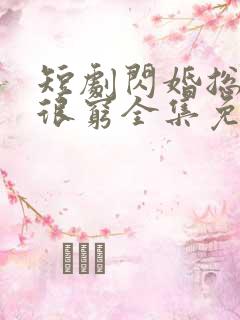 短剧闪婚总裁都很穷全集免费观看