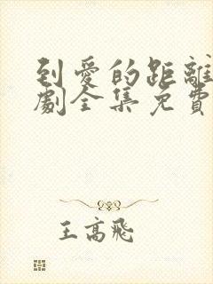 到爱的距离电视剧全集免费观看