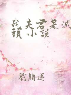 我夫君是灭世魔头 小说