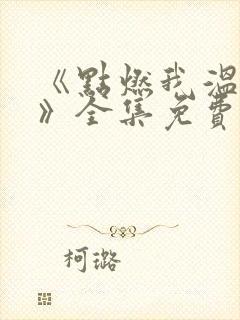 《点燃我温暖你》全集免费电视剧