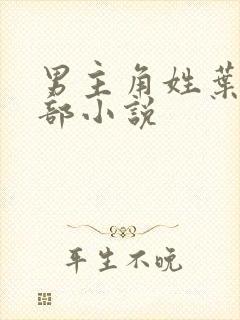 男主角姓叶的全部小说