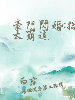 豪门闪婚:总裁太霸道