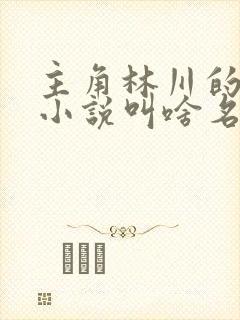 主角林川的重生小说叫啥名