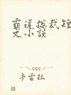 霸道总裁短篇甜文小说