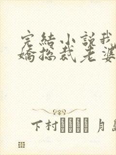 完结小说我的傲娇总裁老婆