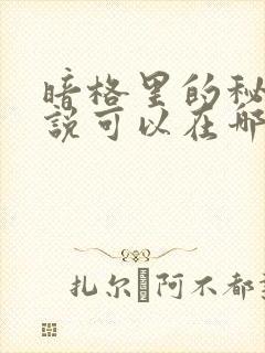 暗格里的秘密小说可以在哪个软件上看