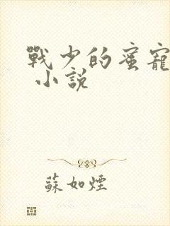 战少的蜜宠娇妻 小说