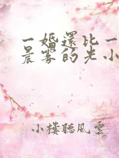 一婚还比一婚高晨雾的光小说