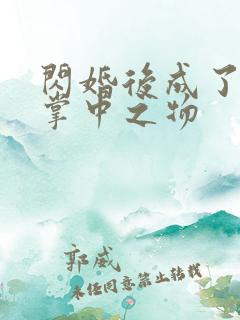 闪婚后成了大佬掌中之物