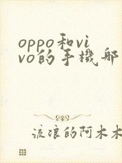 oppo和vivo的手机哪个好