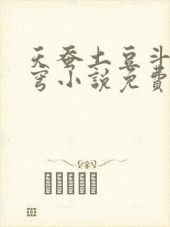 天蚕土豆斗破苍穹小说免费阅读