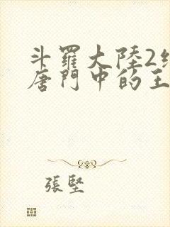 斗罗大陆2绝世唐门中的王冬