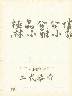 极品公公俏儿媳,林小雅小说免费阅读