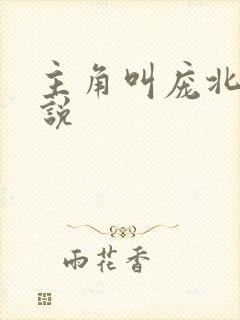 主角叫庞北的小说