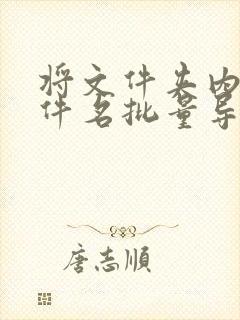 将文件夹内的文件名批量导入excel