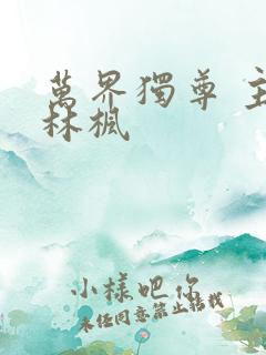 万界独尊 主角林枫