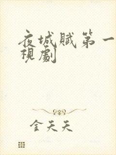 夜城赋第一季电视剧