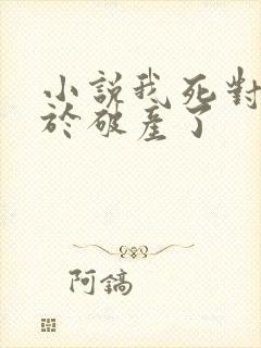 小说我死对头终于破产了