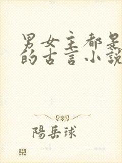 男女主都是将军的古言小说