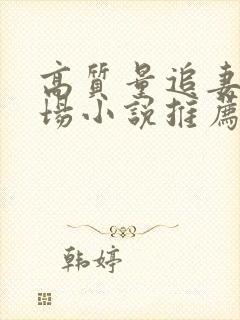 高质量追妻火葬场小说推荐