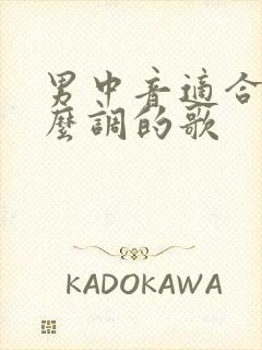 男中音适合唱什么调的歌