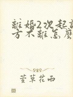 离婚2次起诉一方不离怎么办