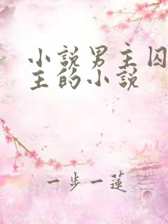 小说男主囚禁女主的小说