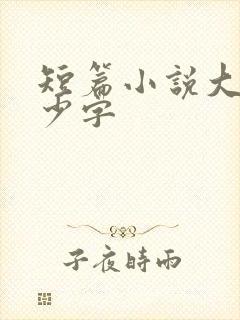 短篇小说大概多少字