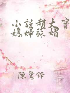 小说赵大宝及儿媳妇苏媚