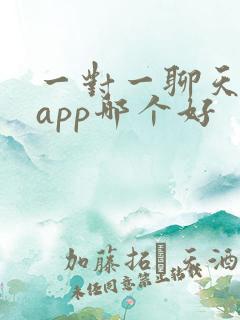 一对一聊天交友app哪个好