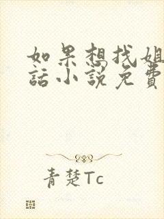 如果想找姐姐的话小说免费阅读