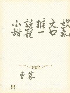 小说推文娱乐圈甜宠一口气看完