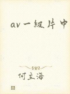 av一级片中文