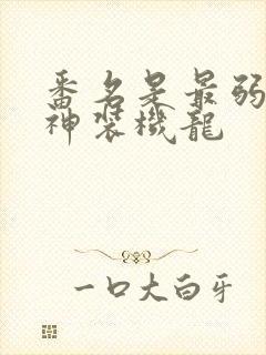 番名是最弱无败神装机龙