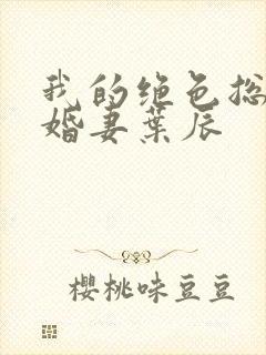 我的绝色总裁未婚妻叶辰