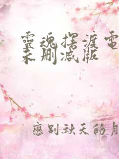 灵魂摆渡电视剧未删减版