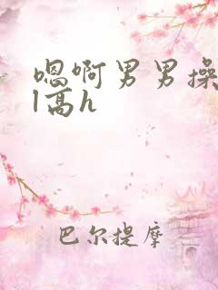 嗯啊男男操爽bl高h