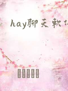 hay聊天软件