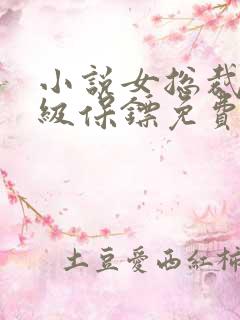 小说女总裁的神级保镖免费阅读